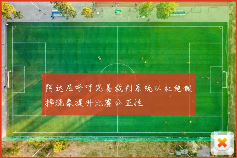阿达尼呼吁完善裁判系统以杜绝假摔现象提升比赛公正性