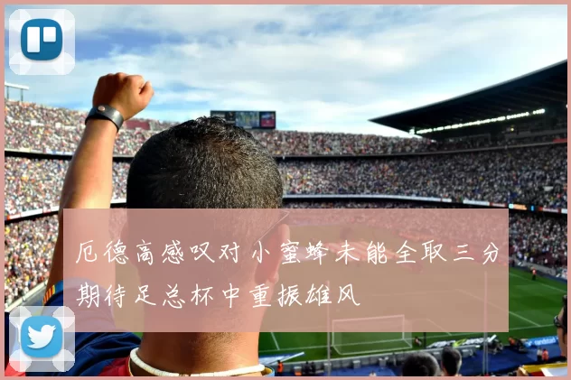 厄德高感叹对小蜜蜂未能全取三分期待足总杯中重振雄风